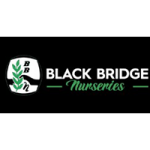 Black bridge 200x200